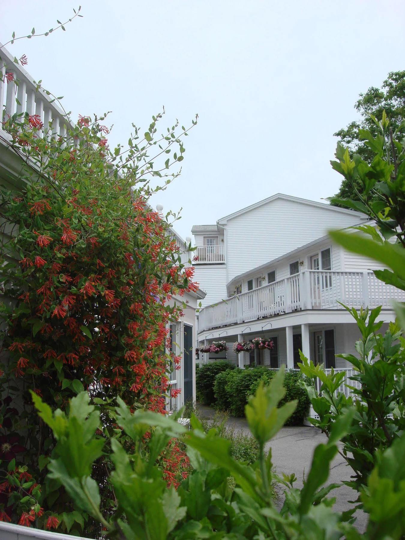 Pink Blossoms Resort Ogunquit Exterior foto